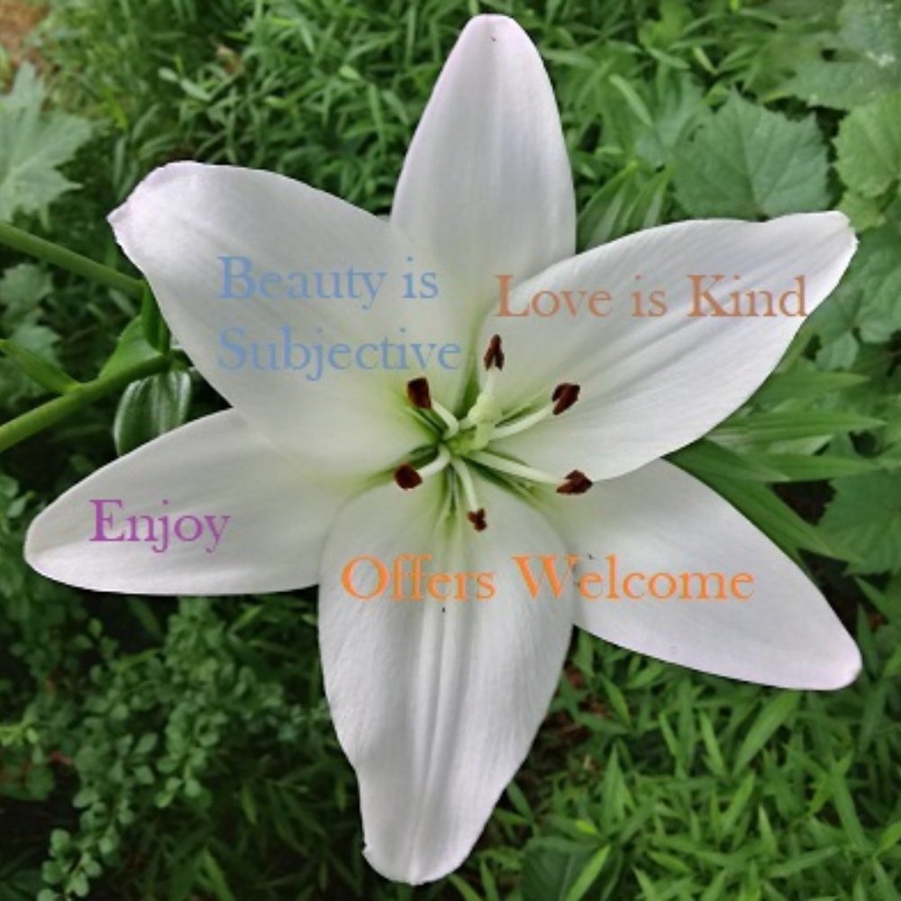 Bundle Any Two Items for $30